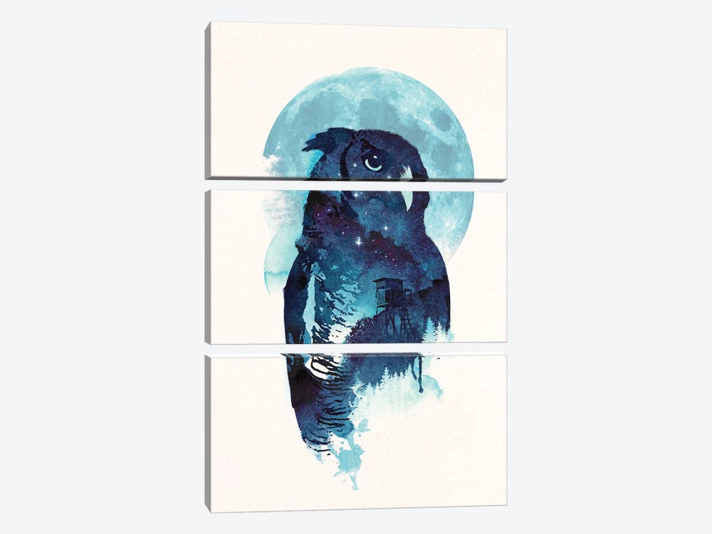 Midnight Owl by Robert Farkas 3-piece Art Print