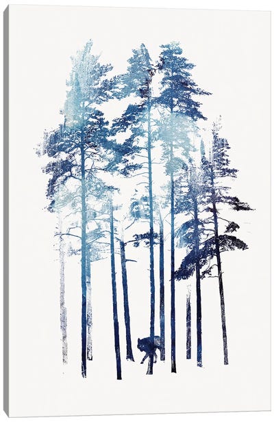 Winter Wolf Canvas Art Print - Robert Farkas