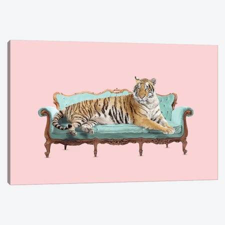 Lazy Tiger Canvas Print #RFA58} by Robert Farkas Art Print