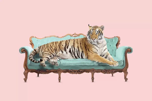 Party Animals: Lazy Tiger by Robert Farkas