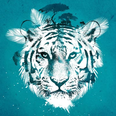 White Tiger by Robert Farkas canvas print