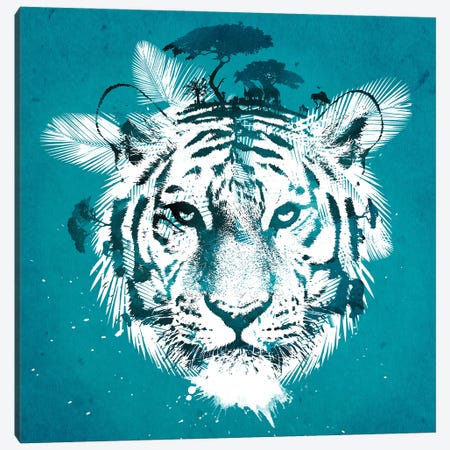 White Tiger Canvas Print #RFA65} by Robert Farkas Canvas Art Print