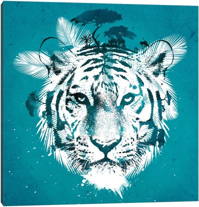White Tiger Canvas Art Print - Robert Farkas