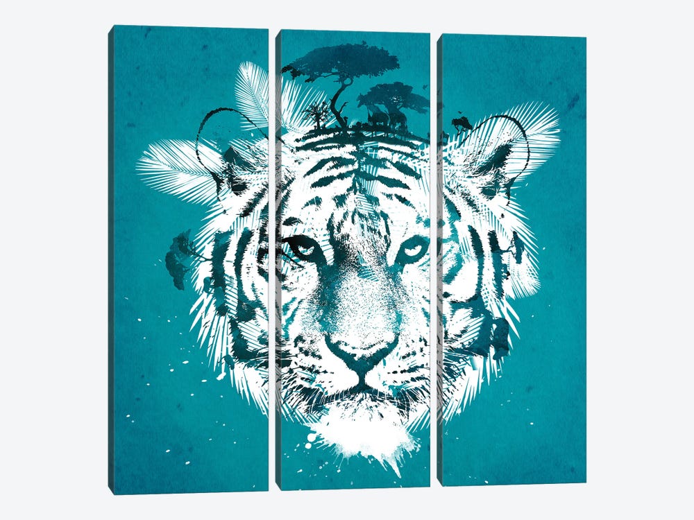 White Tiger by Robert Farkas 3-piece Canvas Print