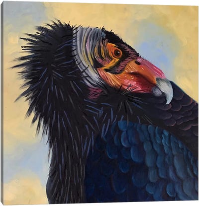 California Condor Canvas Art Print - Rebeca Fuchs