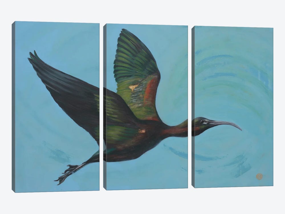 Glossy Ibis by Rebeca Fuchs 3-piece Canvas Art Print