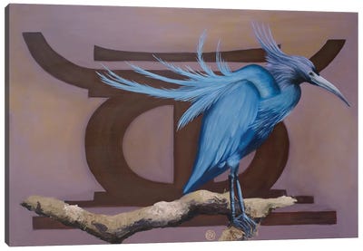 Little Blue Heron Canvas Art Print - Global Patterns