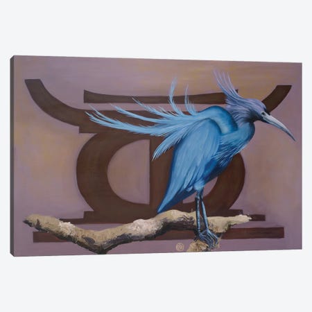 Little Blue Heron Canvas Print #RFC30} by Rebeca Fuchs Canvas Art Print