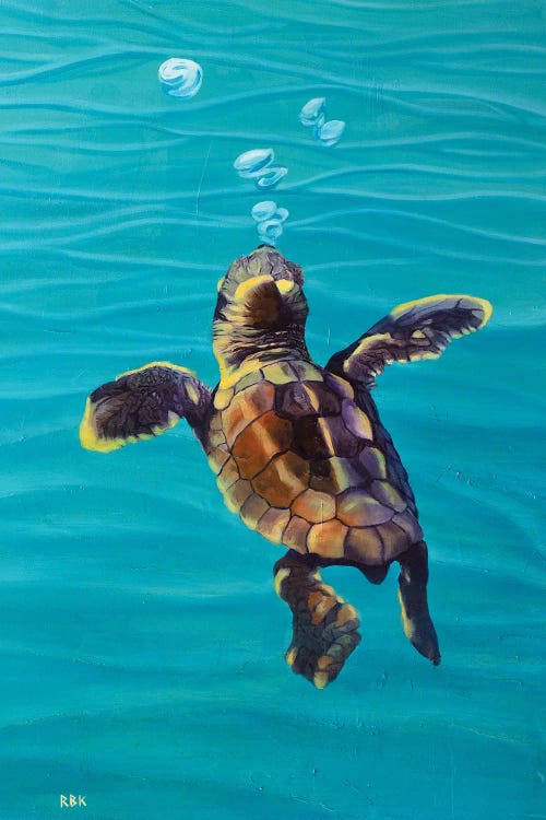 Loggerhead Baby Turtle by Rebeca Fuchs wall art