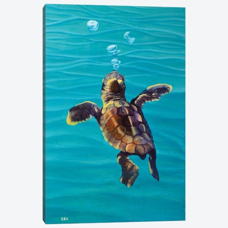 Loggerhead Baby Turtle Canvas Print #RFC32} by Rebeca Fuchs Canvas Art Print
