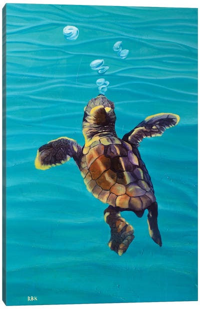 Loggerhead Baby Turtle Canvas Art Print - Rebeca Fuchs
