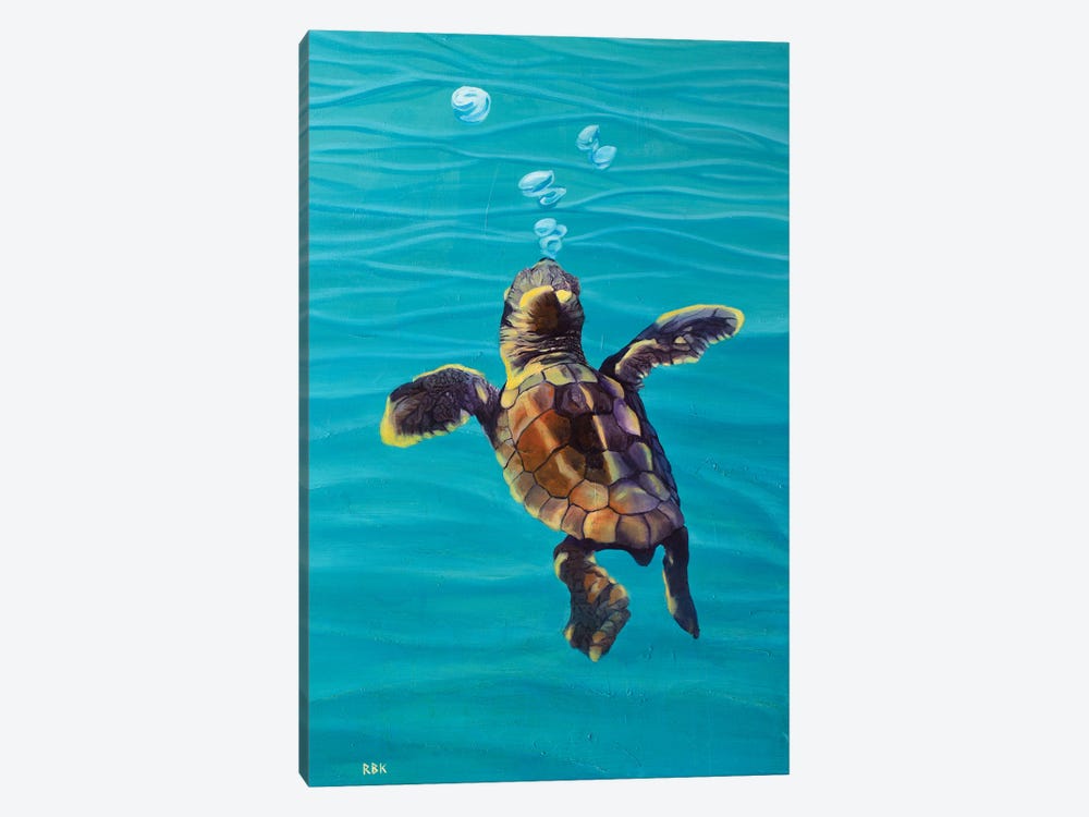 Loggerhead Baby Turtle by Rebeca Fuchs 1-piece Canvas Artwork