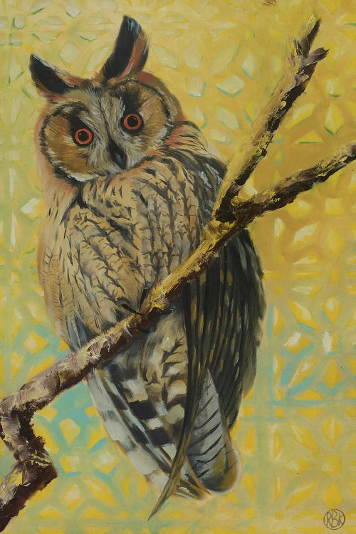 Long Eared Owl by Rebeca Fuchs wall art