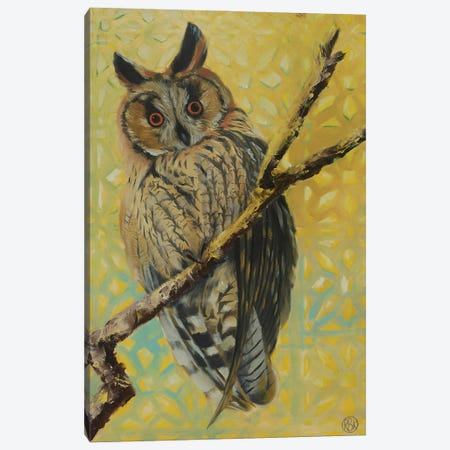 Long Eared Owl Canvas Print #RFC34} by Rebeca Fuchs Canvas Wall Art
