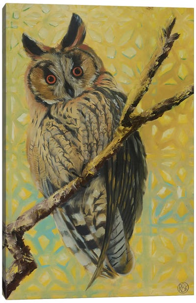 Long Eared Owl Canvas Art Print - Rebeca Fuchs