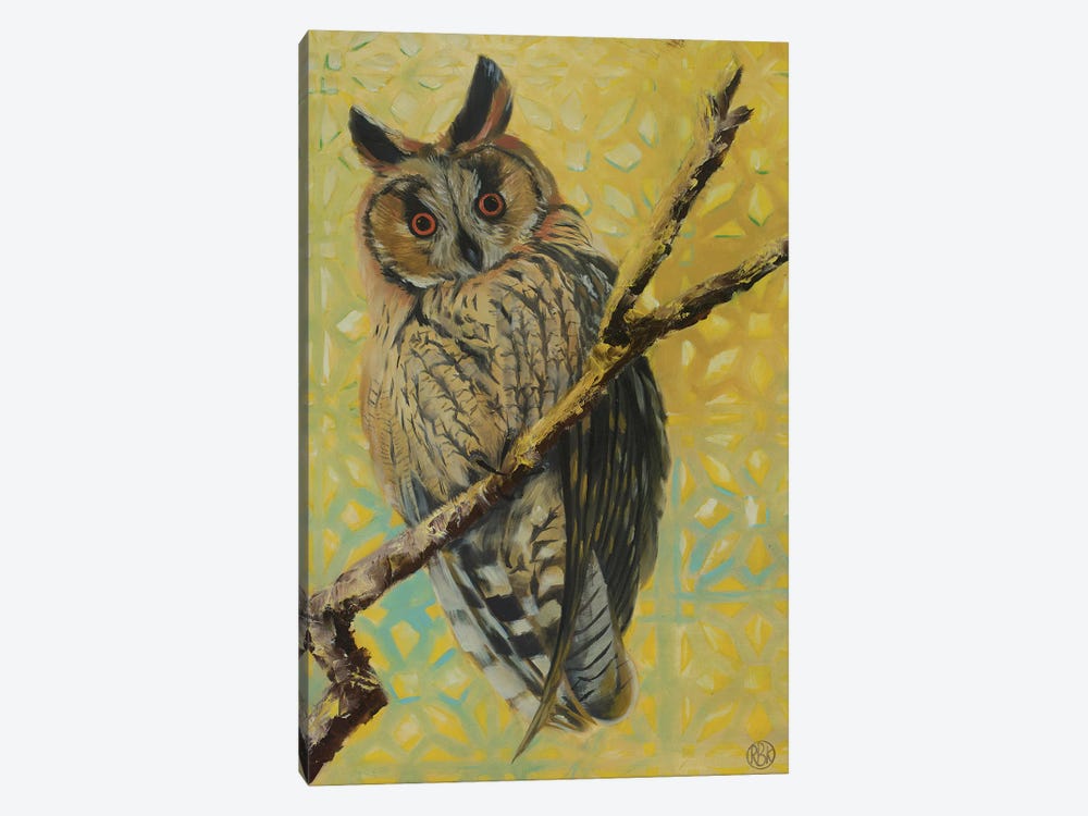 Long Eared Owl by Rebeca Fuchs 1-piece Canvas Art