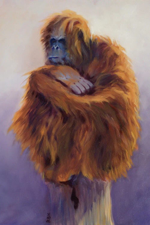 Orangutan by Rebeca Fuchs wall art