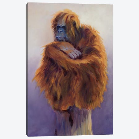 Orangutan Canvas Print #RFC38} by Rebeca Fuchs Art Print