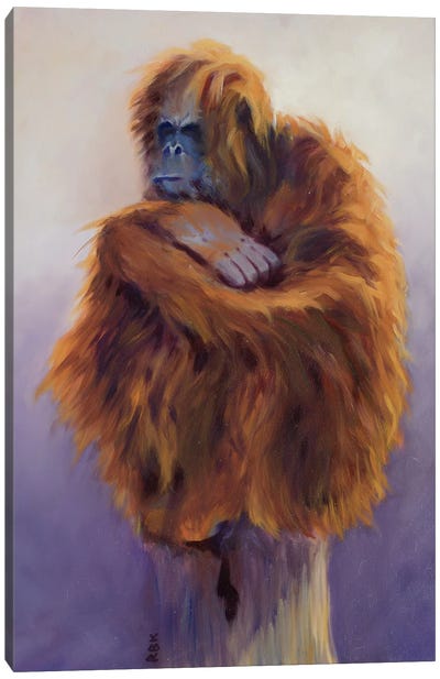 Orangutan Canvas Art Print - Rebeca Fuchs