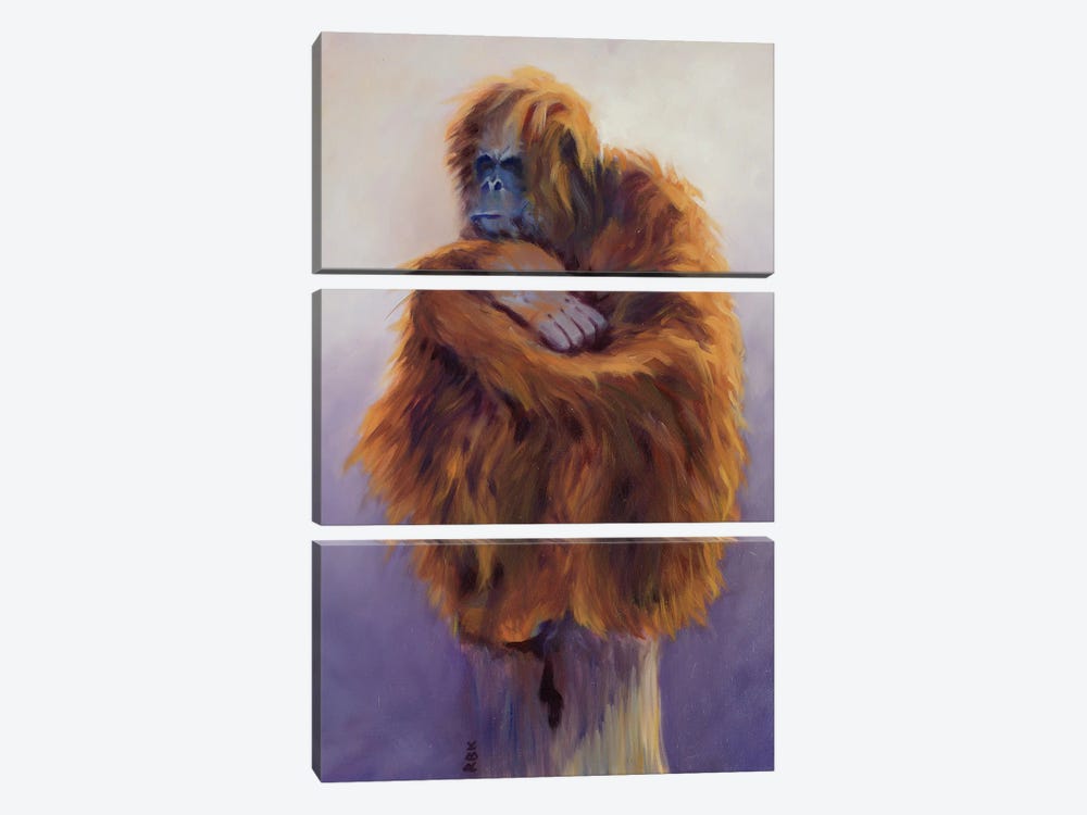 Orangutan by Rebeca Fuchs 3-piece Canvas Artwork