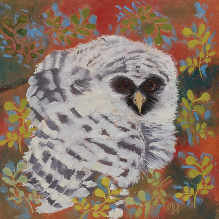 Barred Owl by Rebeca Fuchs wall art