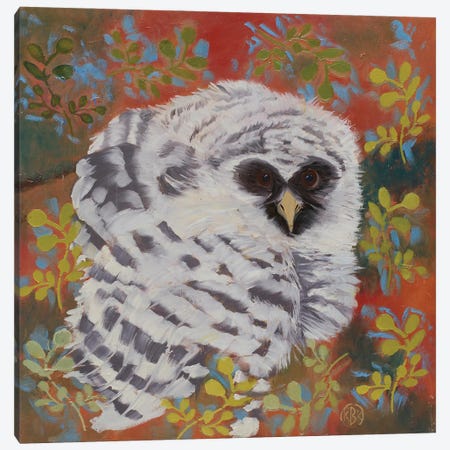 Barred Owl Canvas Print #RFC3} by Rebeca Fuchs Canvas Art
