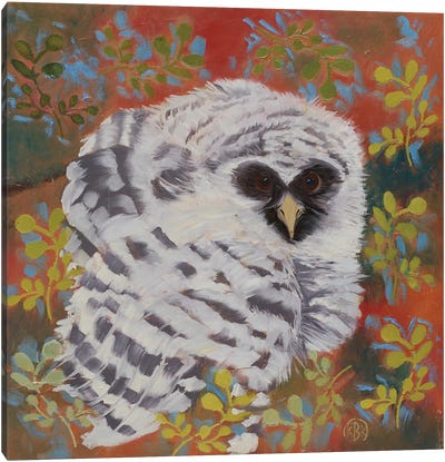 Barred Owl Canvas Art Print - Rebeca Fuchs