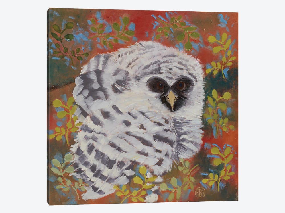 Barred Owl by Rebeca Fuchs 1-piece Canvas Art Print