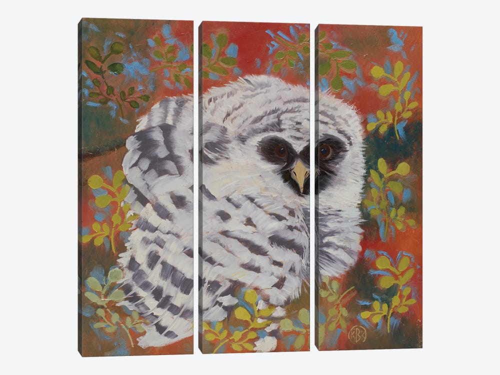 Barred Owl by Rebeca Fuchs 3-piece Art Print