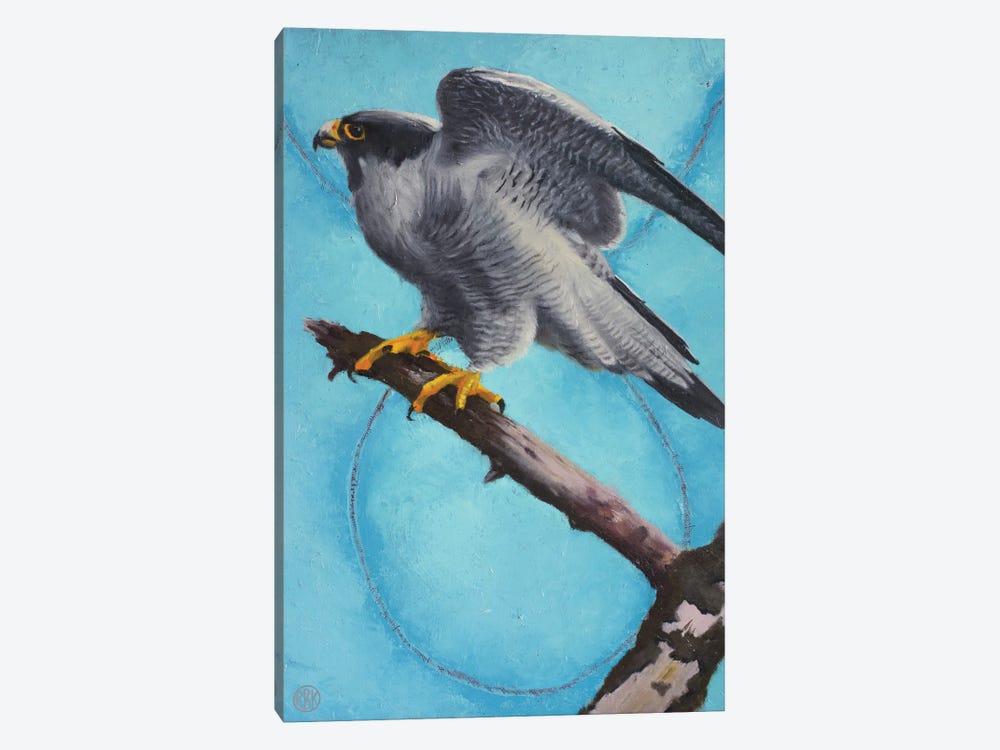 Peregrine Falcon by Rebeca Fuchs 1-piece Canvas Print