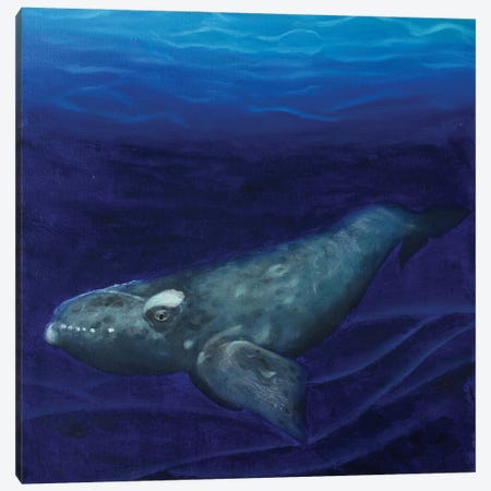 Right Whale Canvas Print #RFC50} by Rebeca Fuchs Art Print