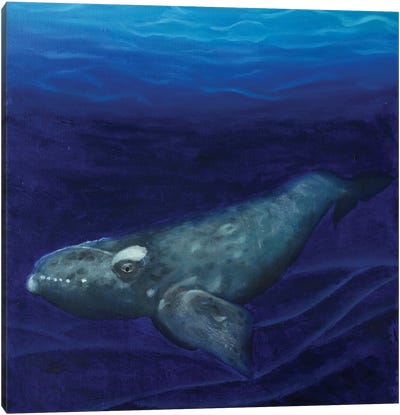 Right Whale Canvas Art Print - Rebeca Fuchs