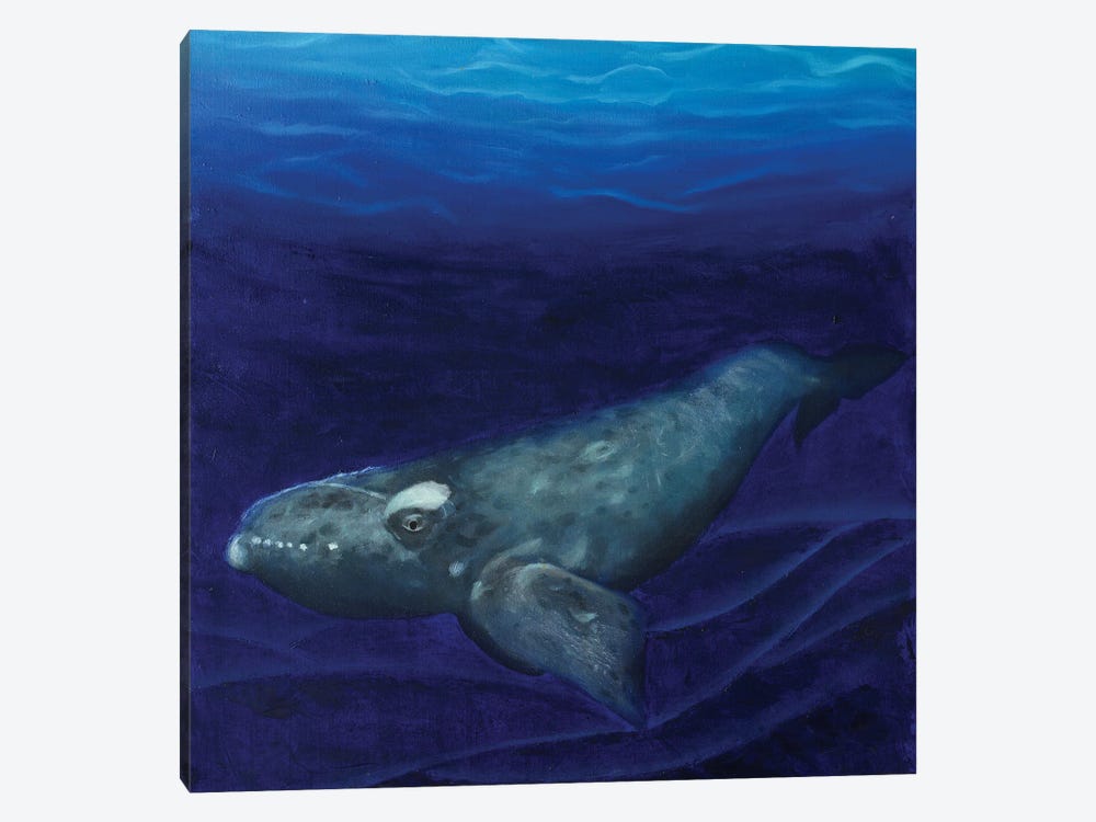 Right Whale by Rebeca Fuchs 1-piece Canvas Art