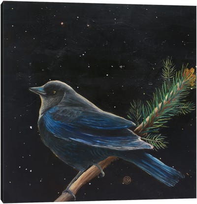 Rusty Blackbird Canvas Art Print - Rebeca Fuchs