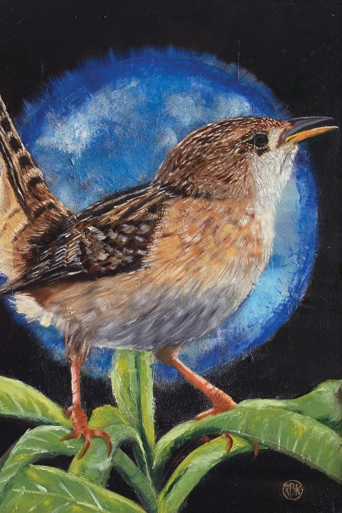 Sedge Wren