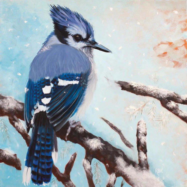 Bluejay by Rebeca Fuchs wall art