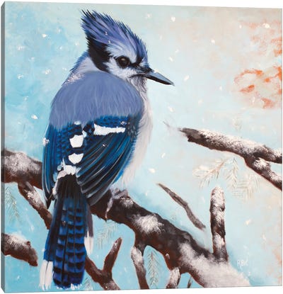 Bluejay Canvas Art Print - Jay Art