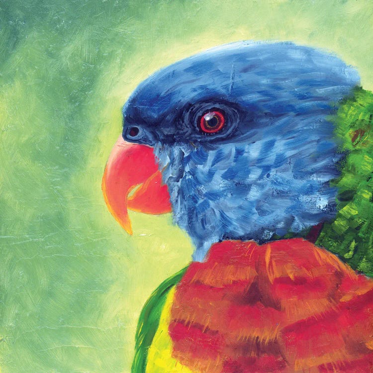 Lorekeet by Rebeca Fuchs wall art