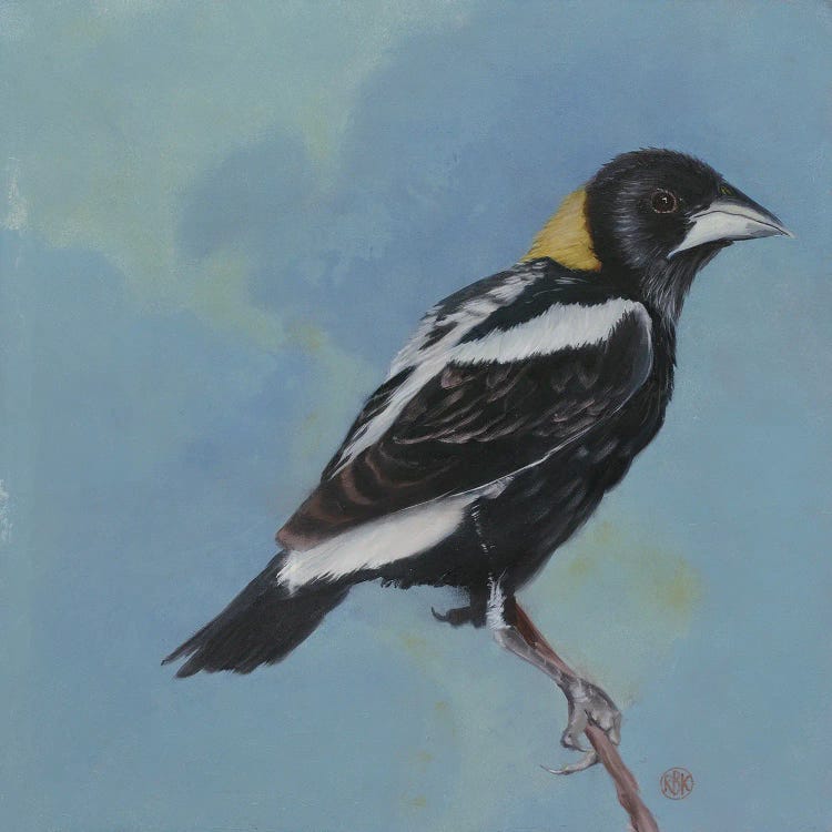 Bobolink by Rebeca Fuchs wall art