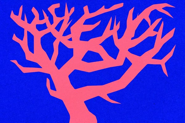 Coral: Underwater Love by Rosi Feist