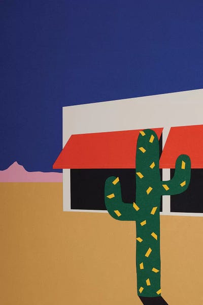 Boutique With Cactus by Rosi Feist canvas print