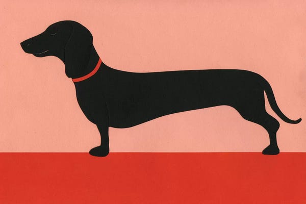 Dachshunds: Dachshund Rosi by Rosi Feist