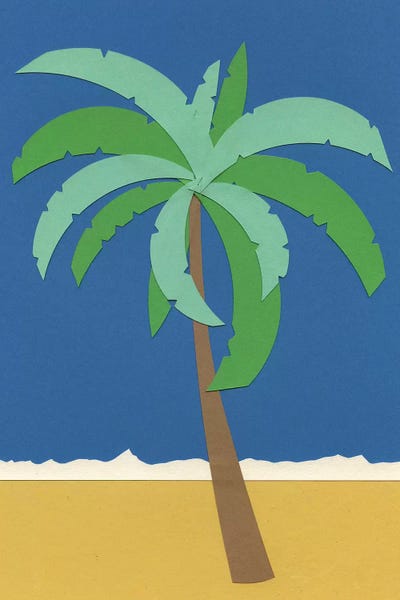 Desert: Desert Palm by Rosi Feist