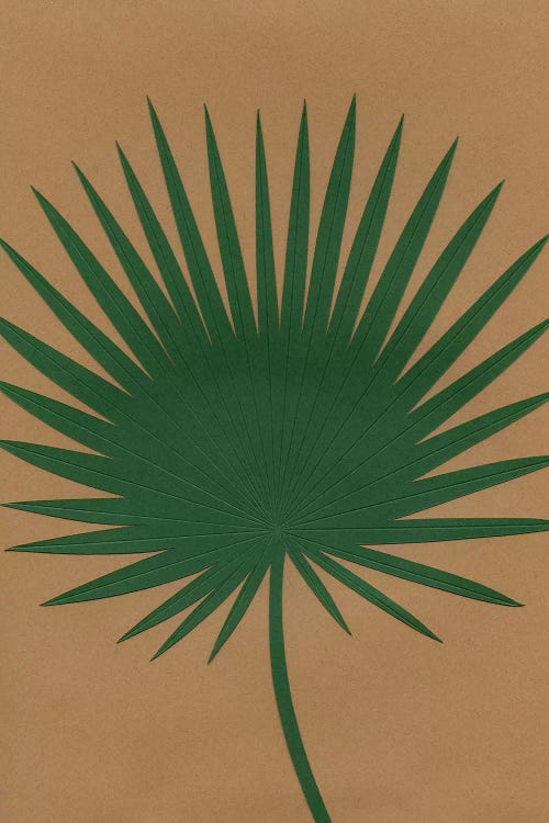 Fan Palm by Rosi Feist wall art
