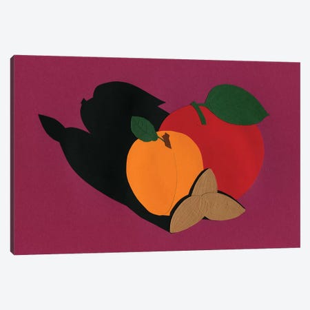 Apple Apricot Almond Canvas Print #RFE4} by Rosi Feist Art Print