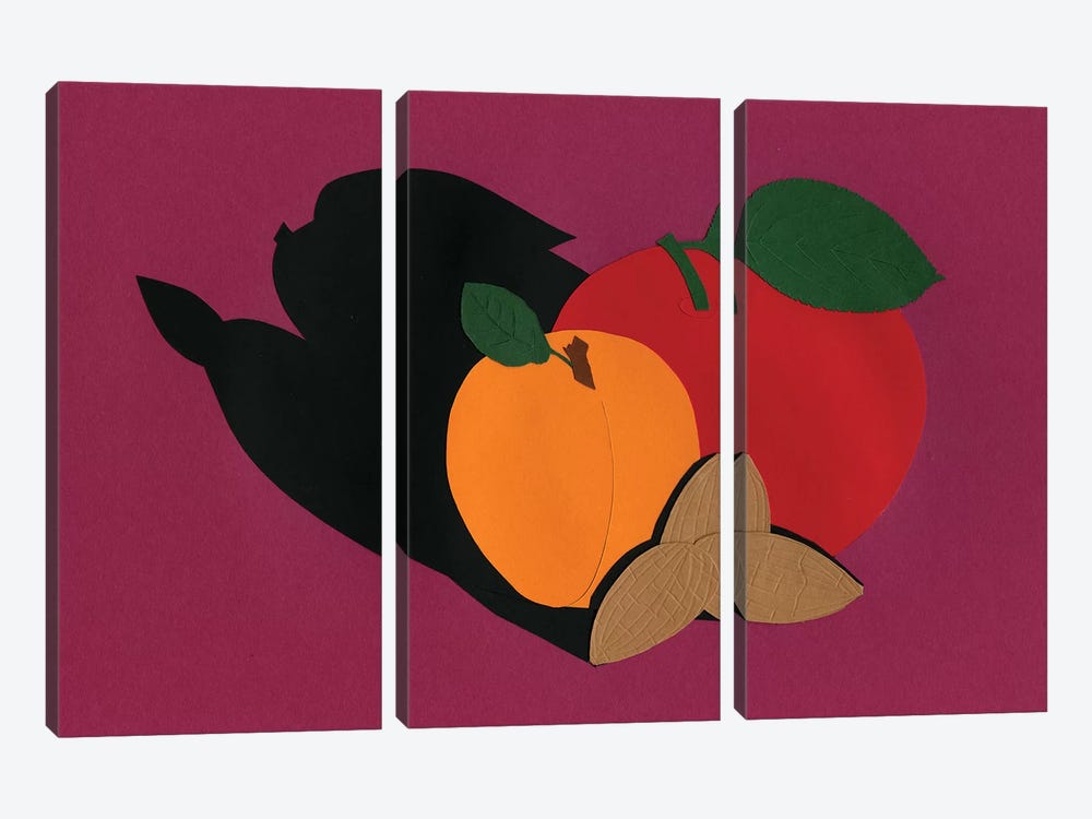 Apple Apricot Almond by Rosi Feist 3-piece Canvas Art