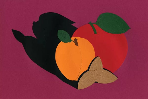 Pop Art Kitchen: Apple Apricot Almond by Rosi Feist