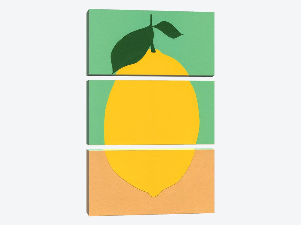 Lemon by Rosi Feist 3-piece Canvas Art Print