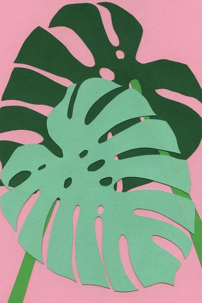 Monsteras: Monstera by Rosi Feist