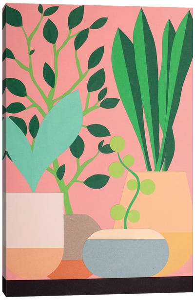 Plants And Pottery Canvas Art Print - Cut & Paste